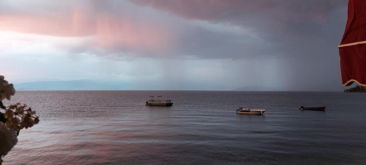 Villa Dea Ohrid Bagian luar foto